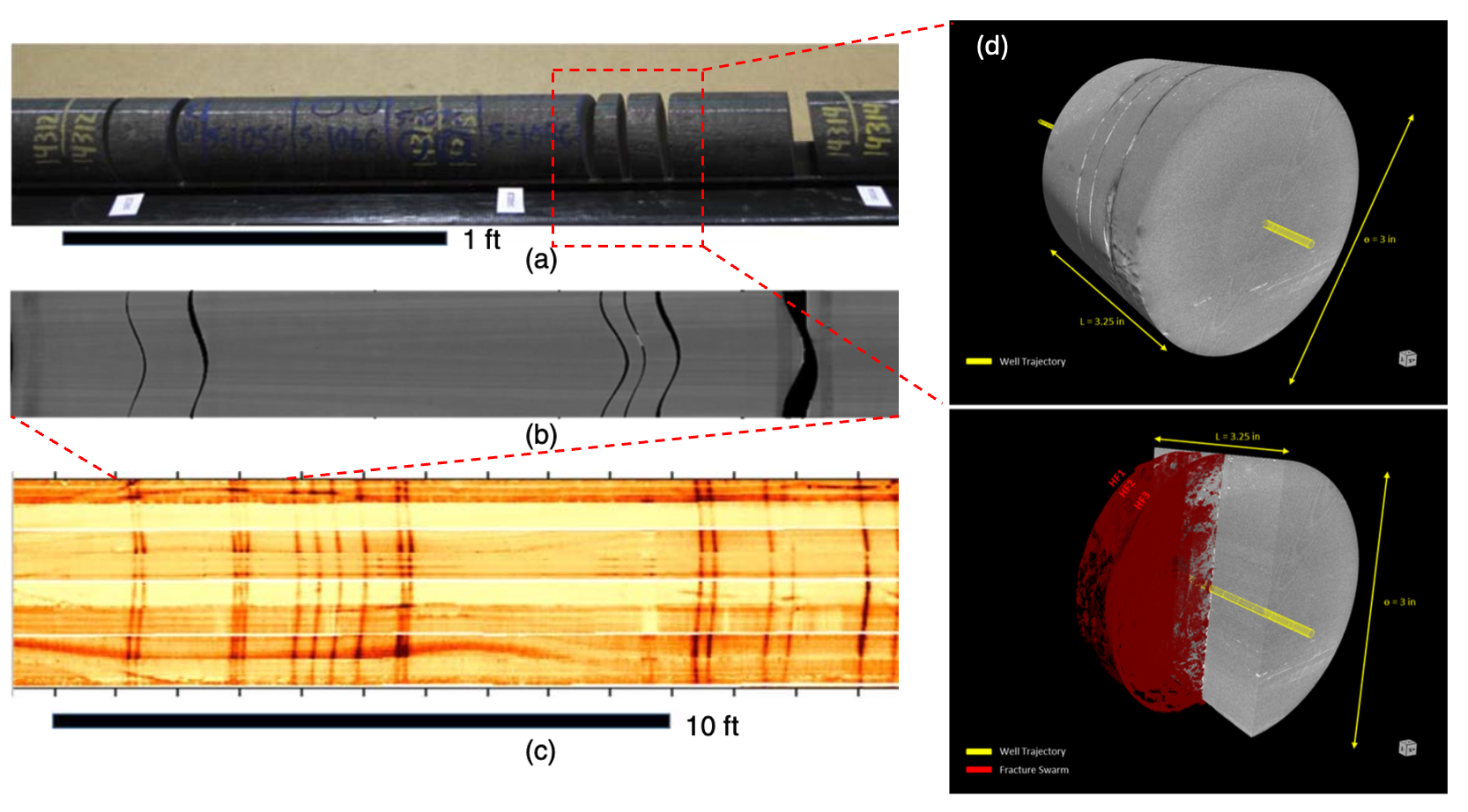 Image 7-FractureSwarm